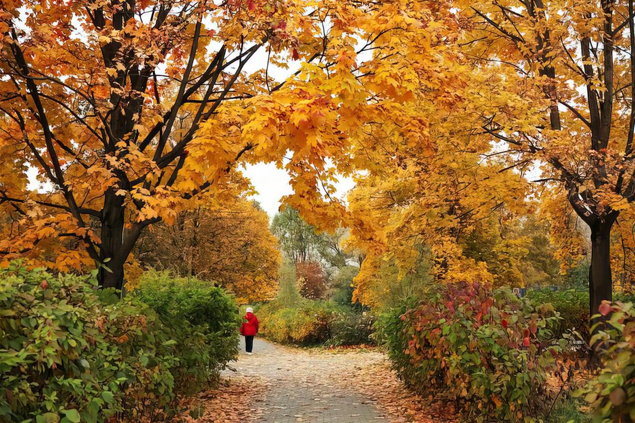 Москвичам назвали дату прихода «золотой осени»