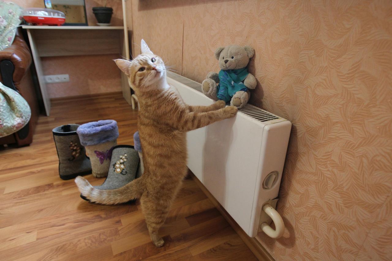 Тепло подадут в дома москвичей в ближайшее воскресенье