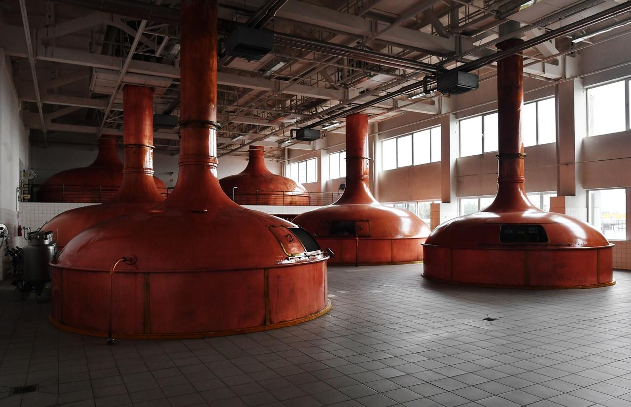 Россияне начали пить больше пива