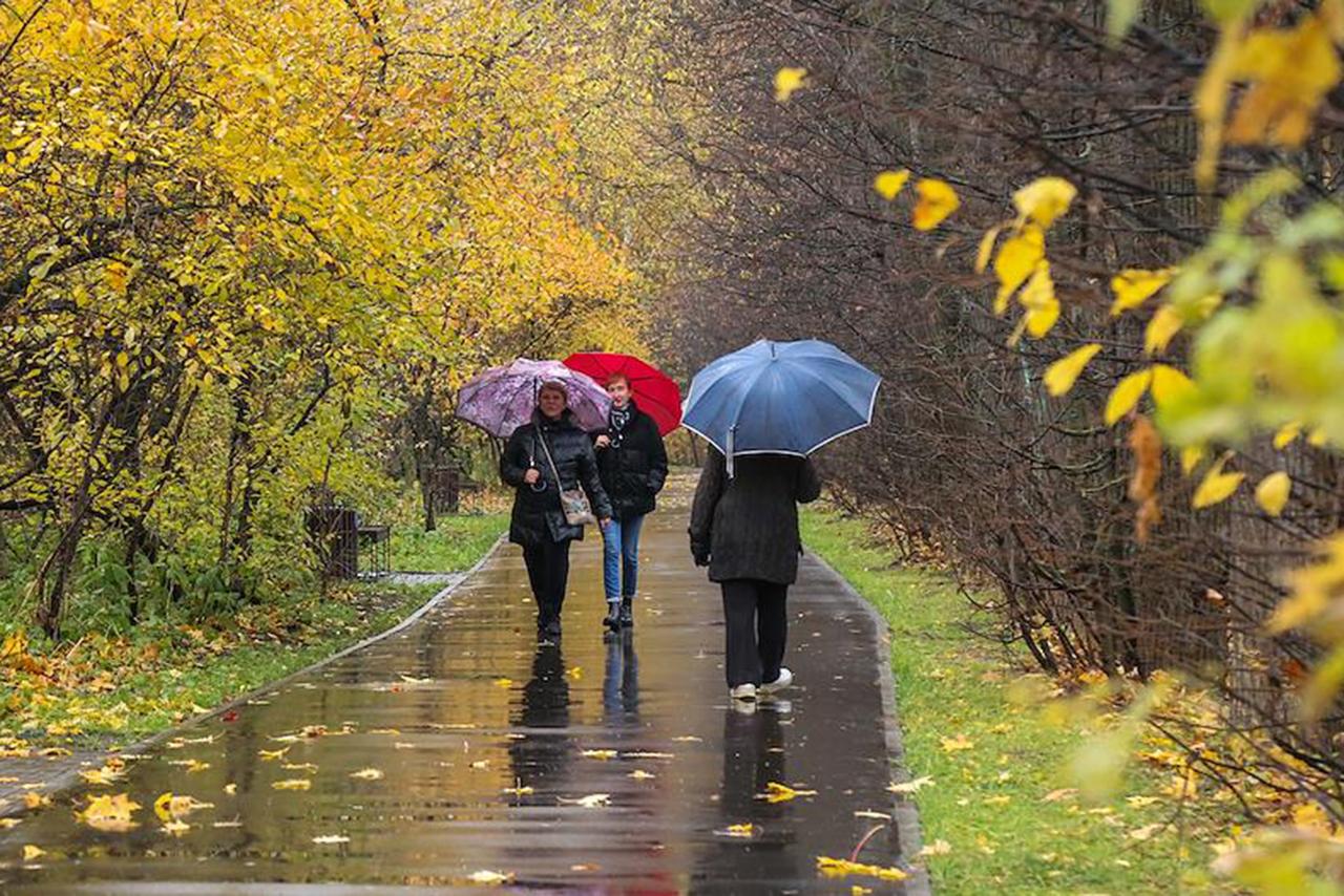 Тишковец предупредил москвичей о падении атмосферного давления