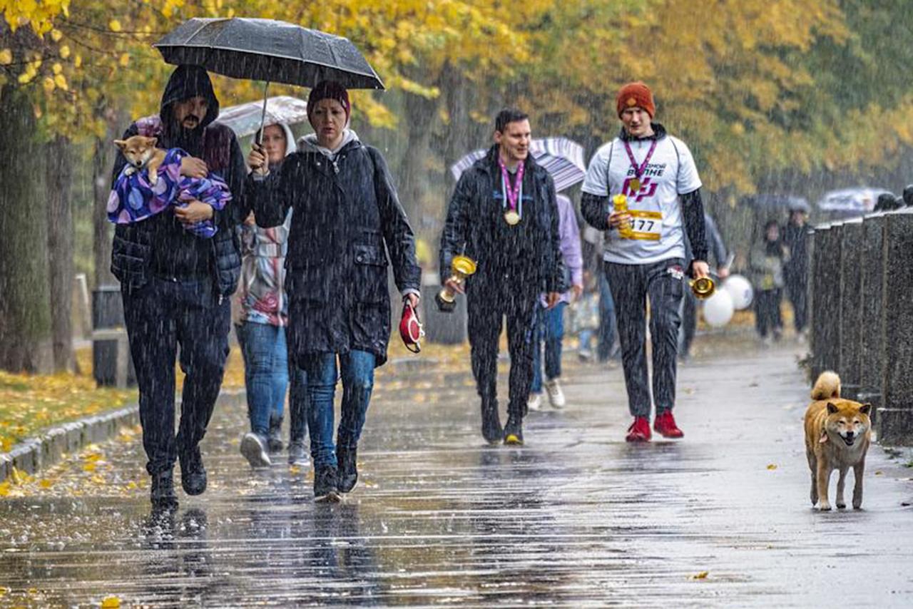 Москвичей предупредили о дожде в субботу