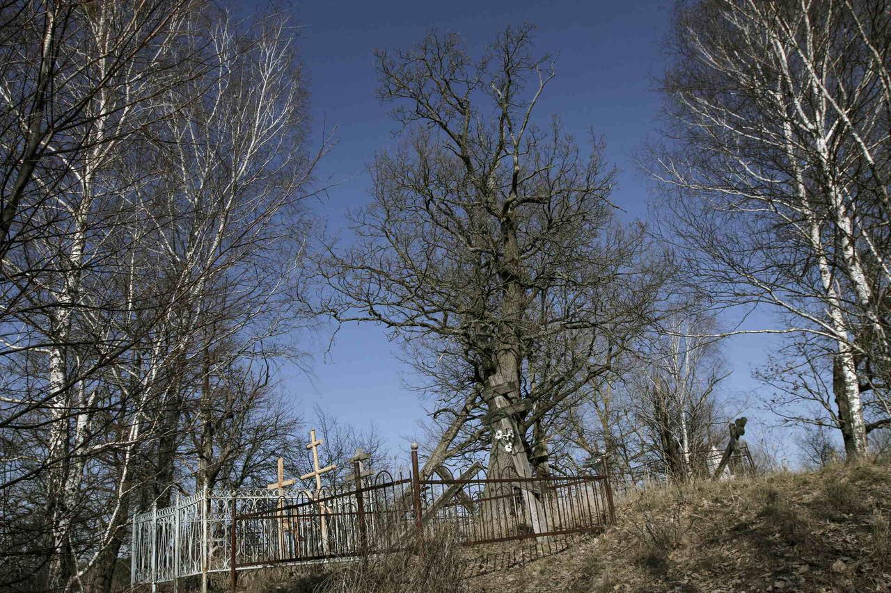 Москвичи обнаружили проклятую могилу на одном из столичных кладбищ