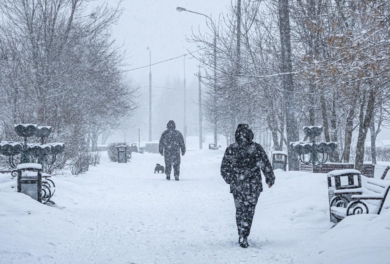 Синоптики предупредили о метели в Московском регионе