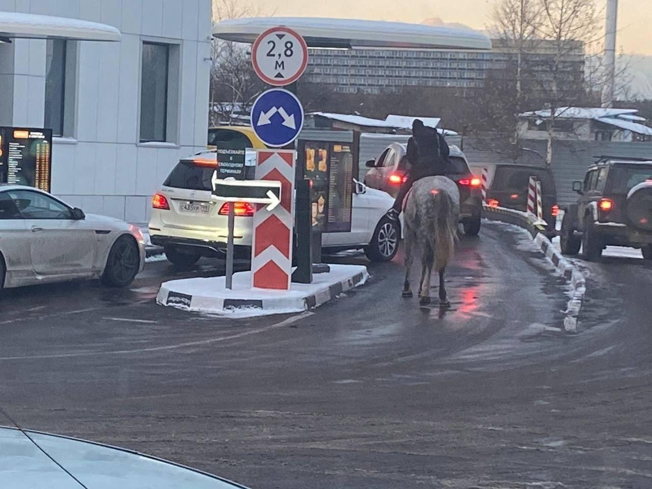 Россиянин приехал в ресторан «Вкусно — и точка» на лошади