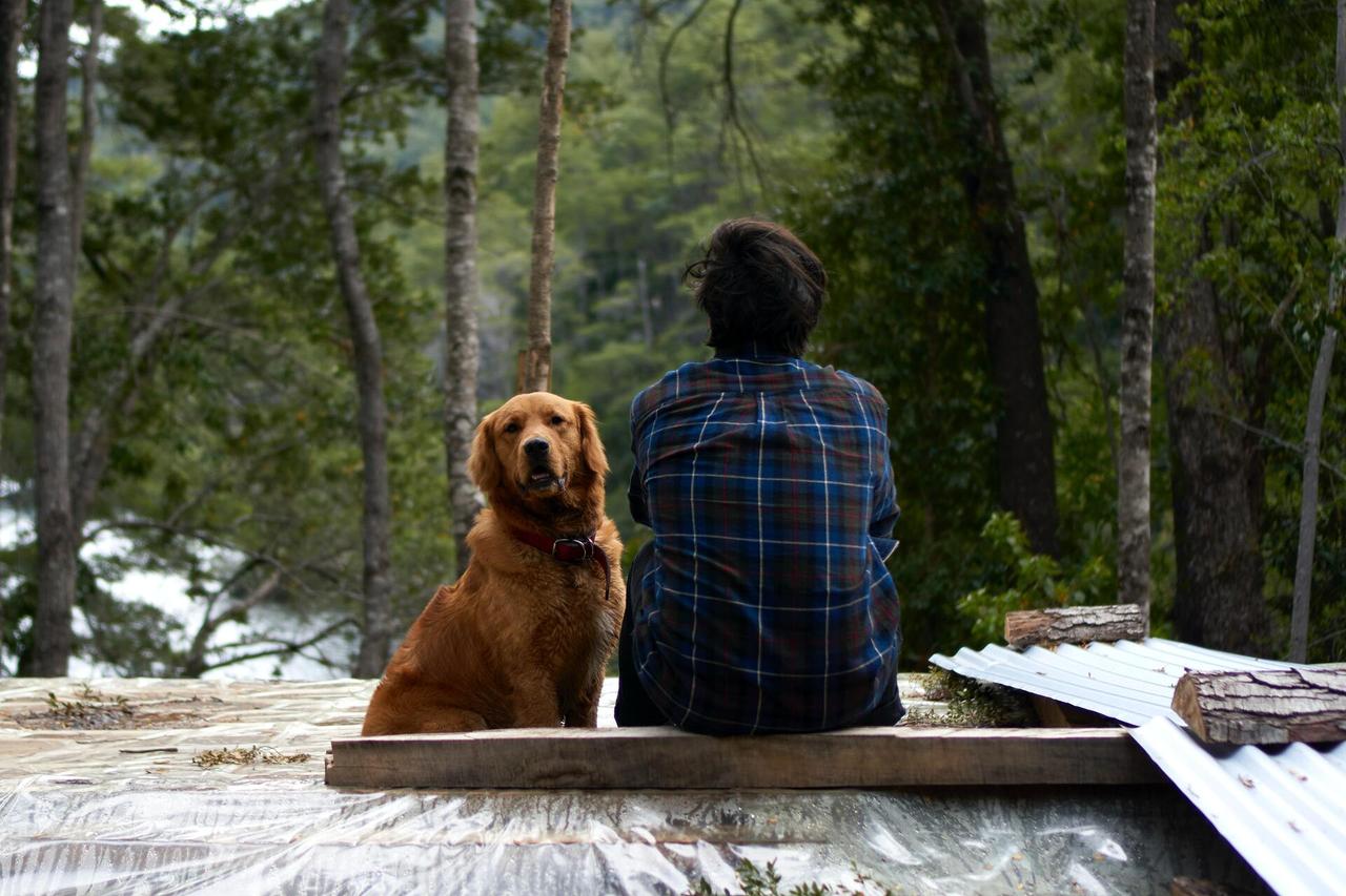 Раскрыты главные правила выбора породы собаки