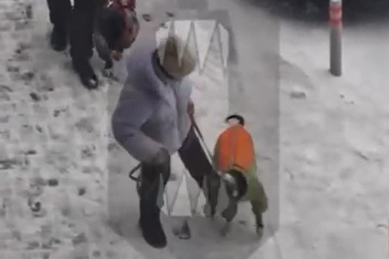 Жестокое обращение москвички с собакой возмутило россиян