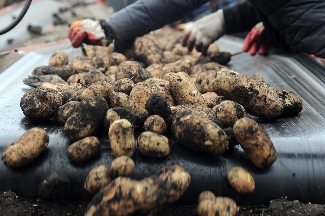 Туристам предложили привезти необычный сувенир из одного известного города