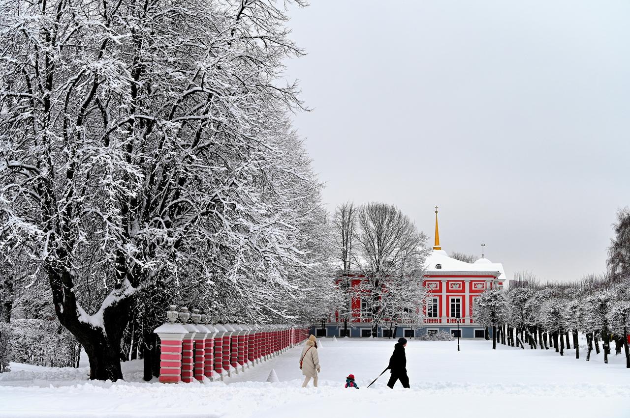 Москвовед посоветовал места для прогулок в дни новогодних каникул