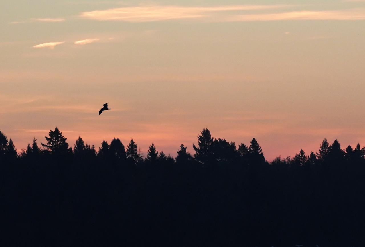 Необычное природное явление заметили в подмосковном небе