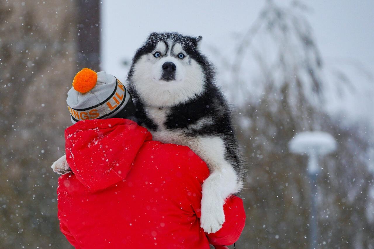 Вильфанд предупредил москвичей об аномальном изменении погоды