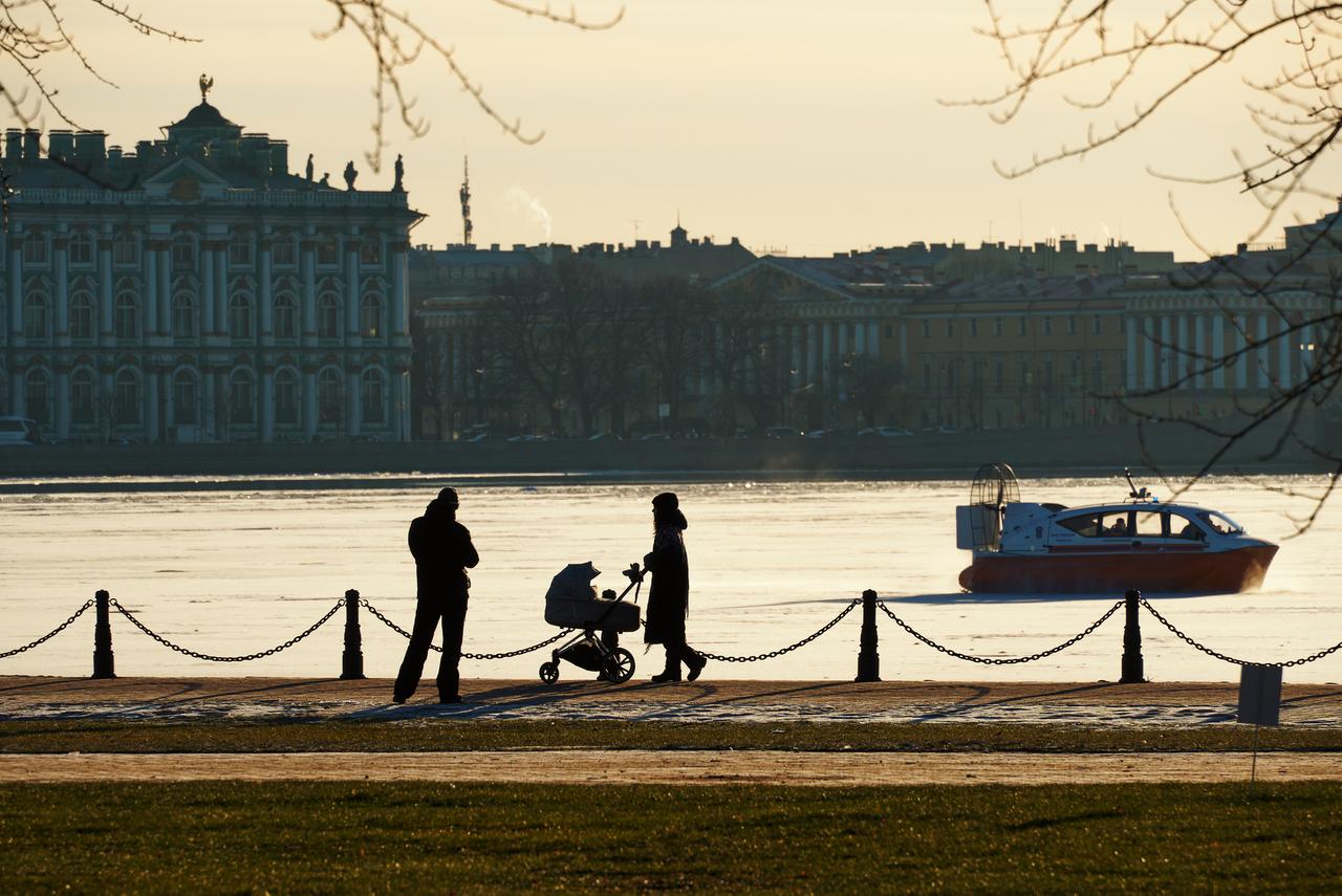 Диетолог Гинзбург дал советы по борьбе с артериальной гипертонией