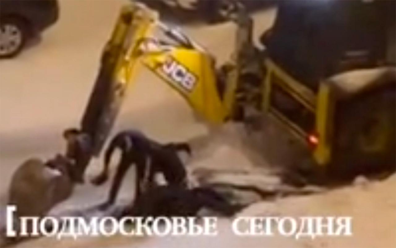 Подмосковные коммунальщики избили мужчину из-за жалобы на шум