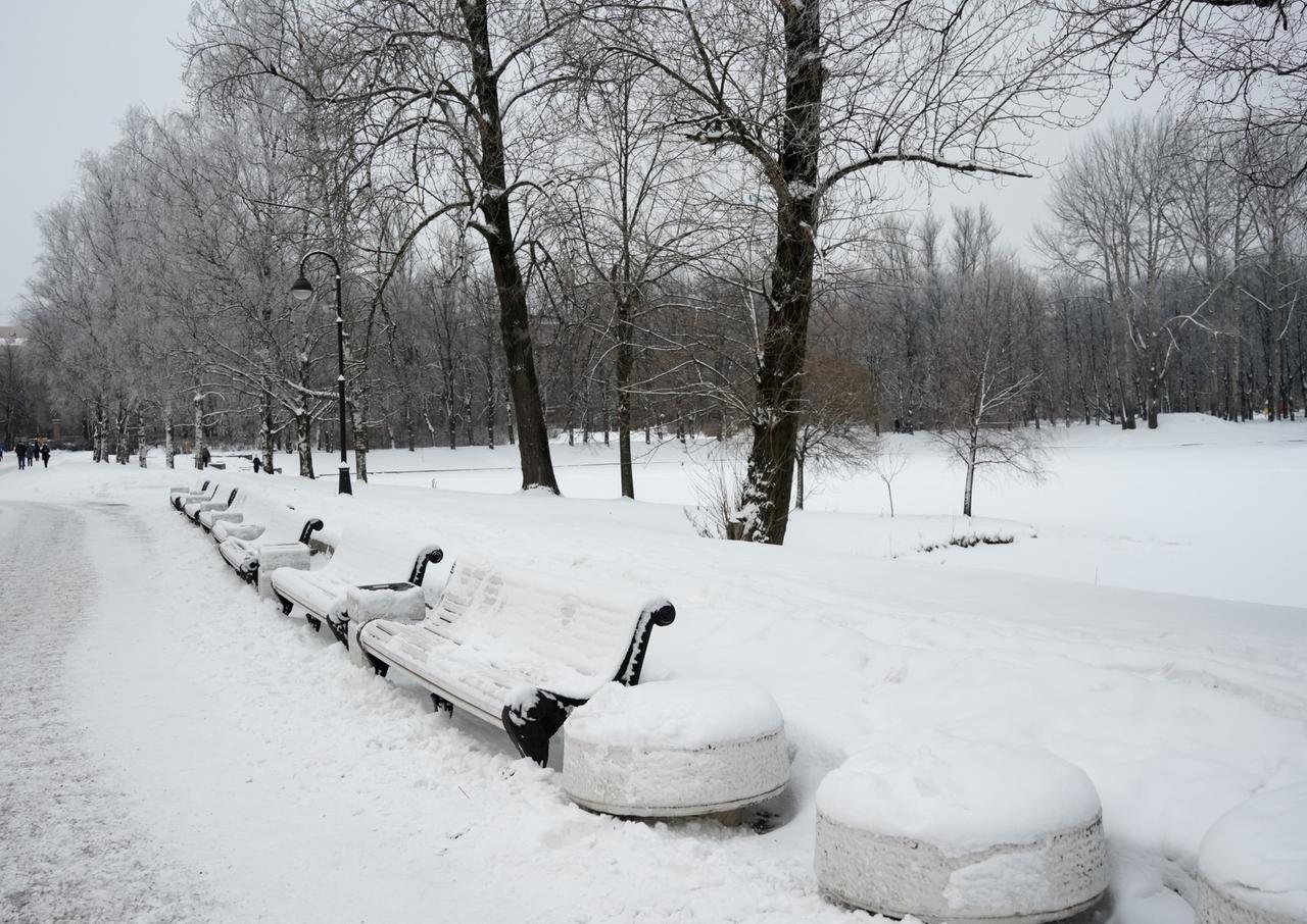 МегаФон ускорил интернет в парках Балашихи