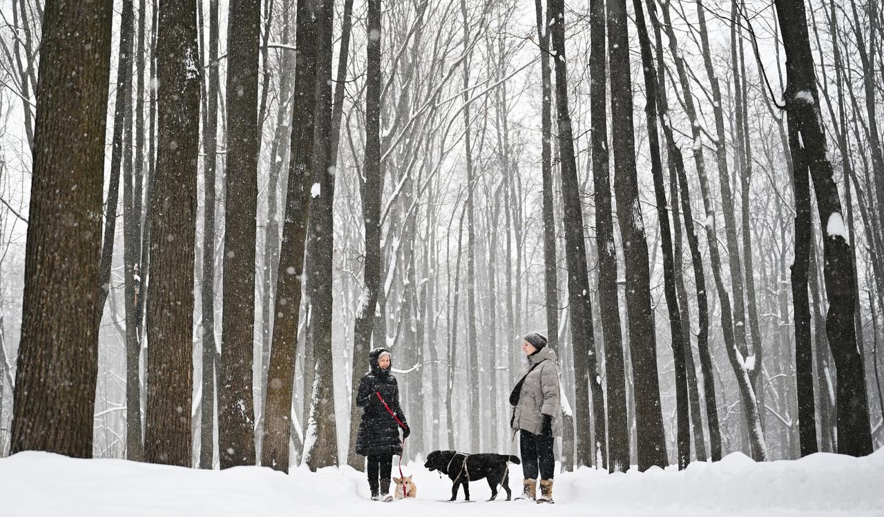 Москвичей предупредили об опасной погоде