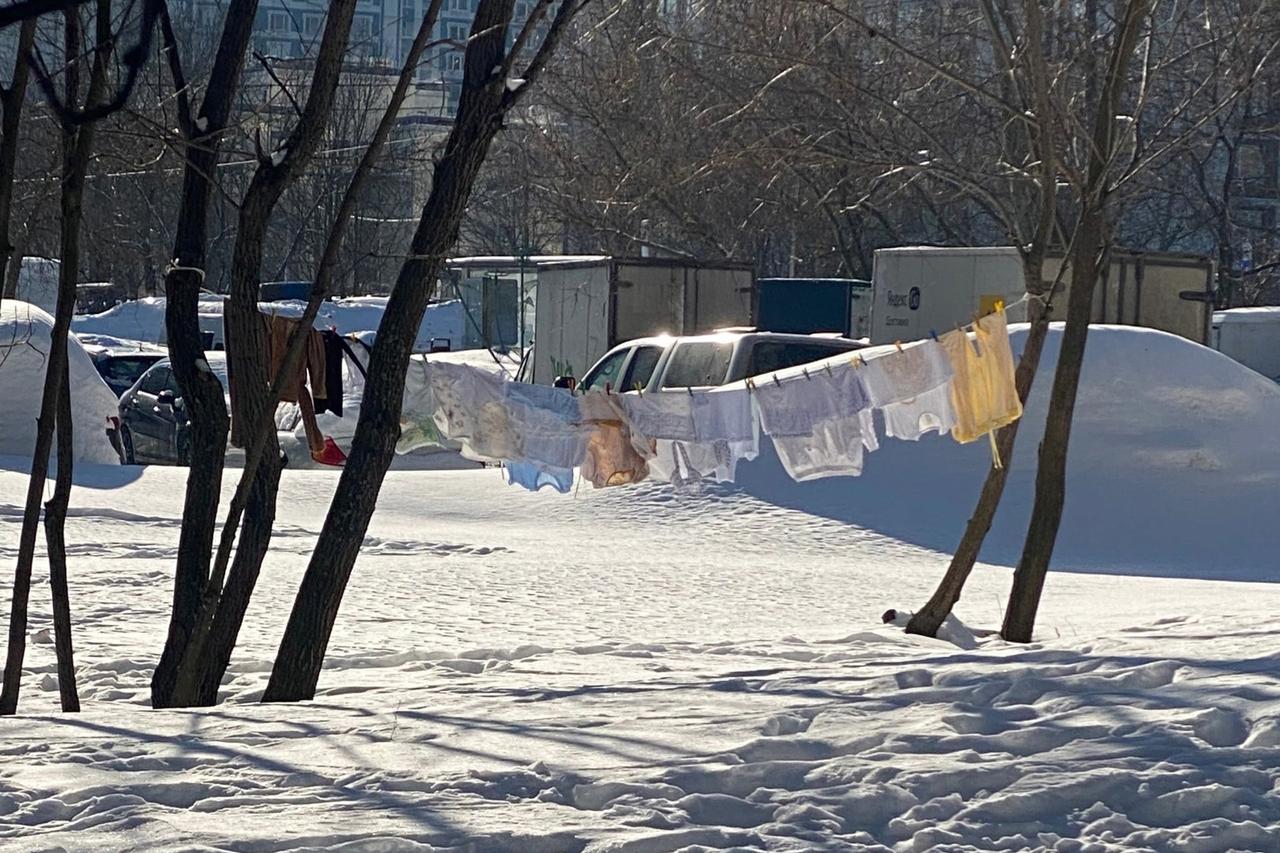 Москвичи поспорили о сушке белья в столичных дворах