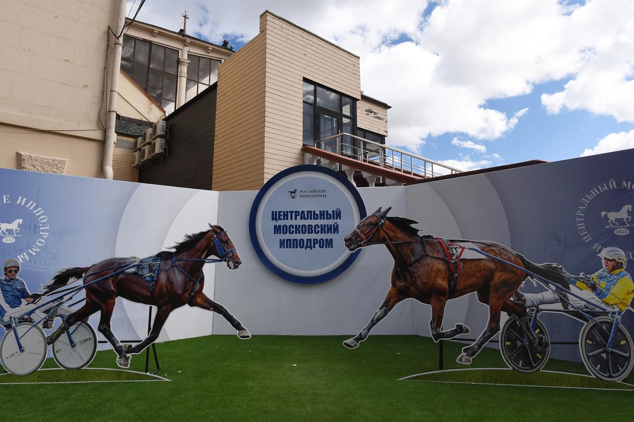 Раскрыто место пребывания лошадей из столичного ипподрома во время его ремонта