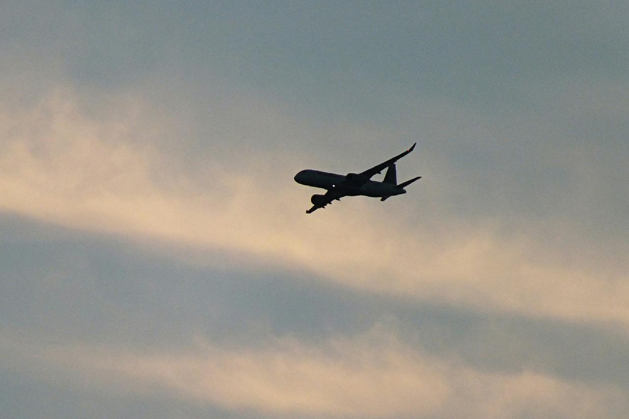 Летевший в Москву самолет столкнулся с птицей в Шереметьево