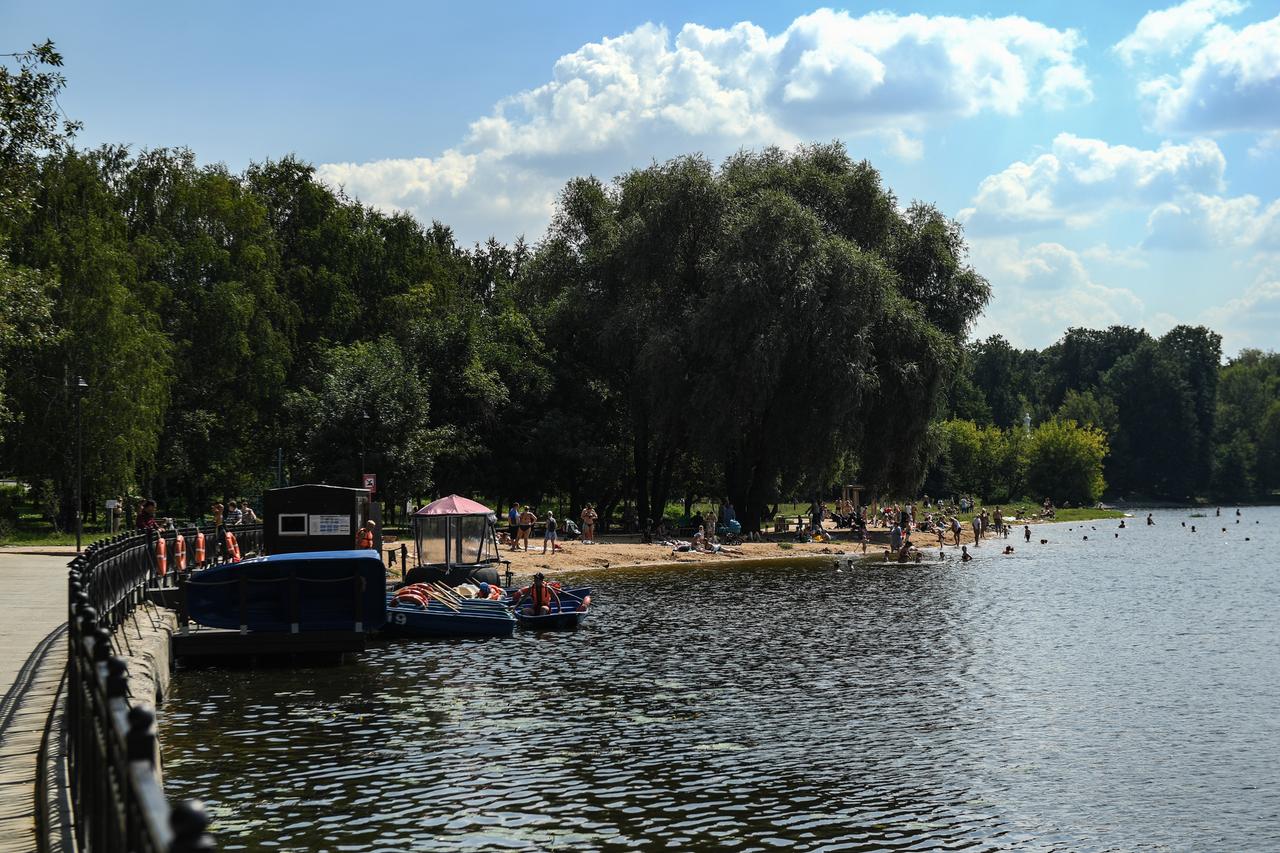 Объявление о продаже «бухлохода» за полмиллиона рублей развеселило москвичей