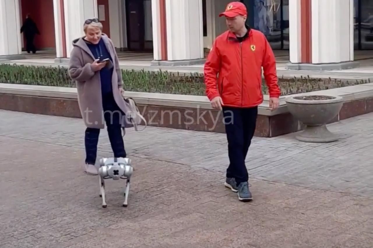 Прогулка москвича с собакой-роботом попала на видео