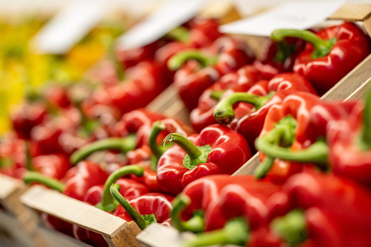 Доктор Гинзбург назвал полезный для пожилых людей продукт