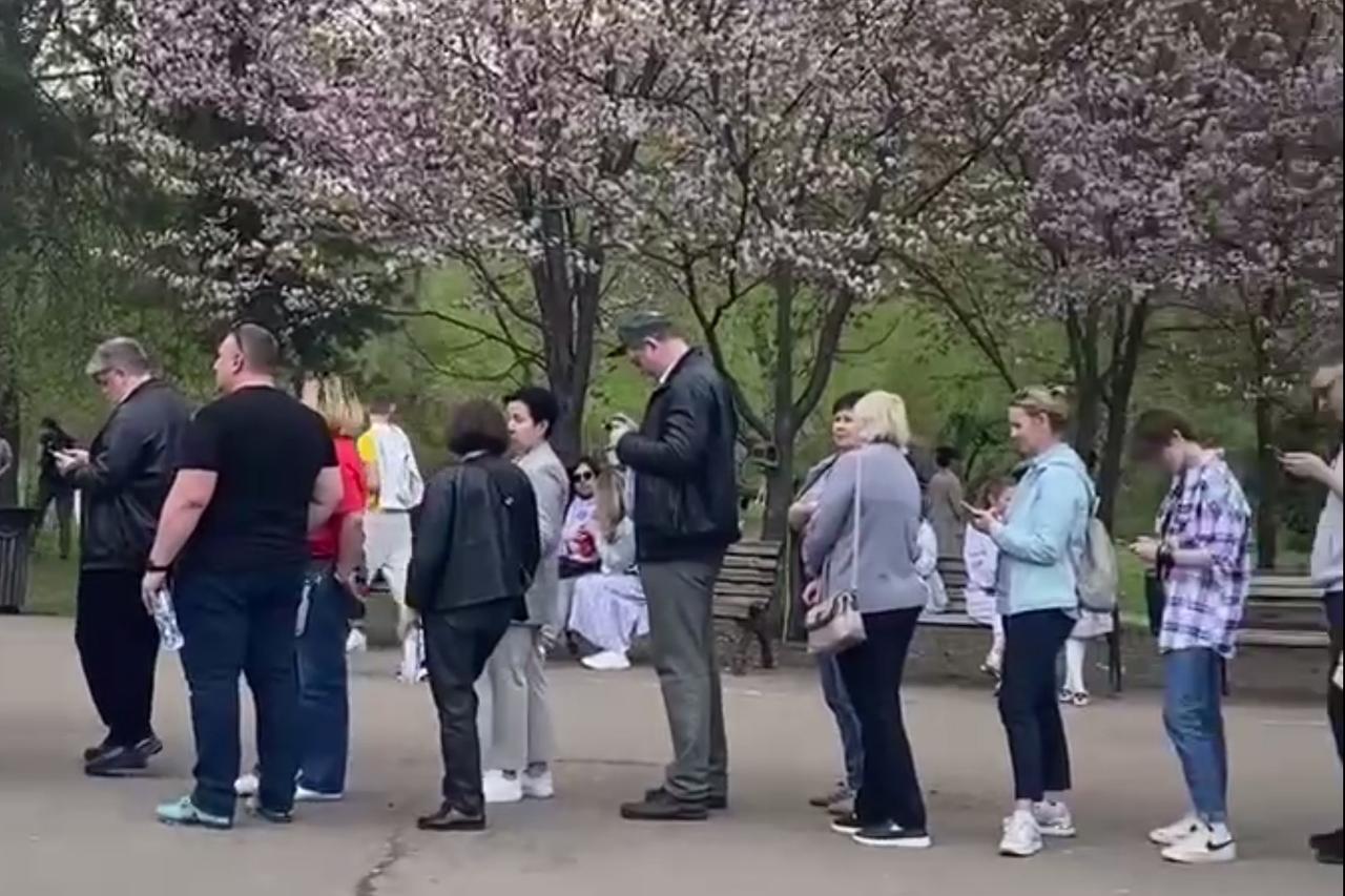 Длинная очередь на просмотр цветения сакуры в Москве попала на видео