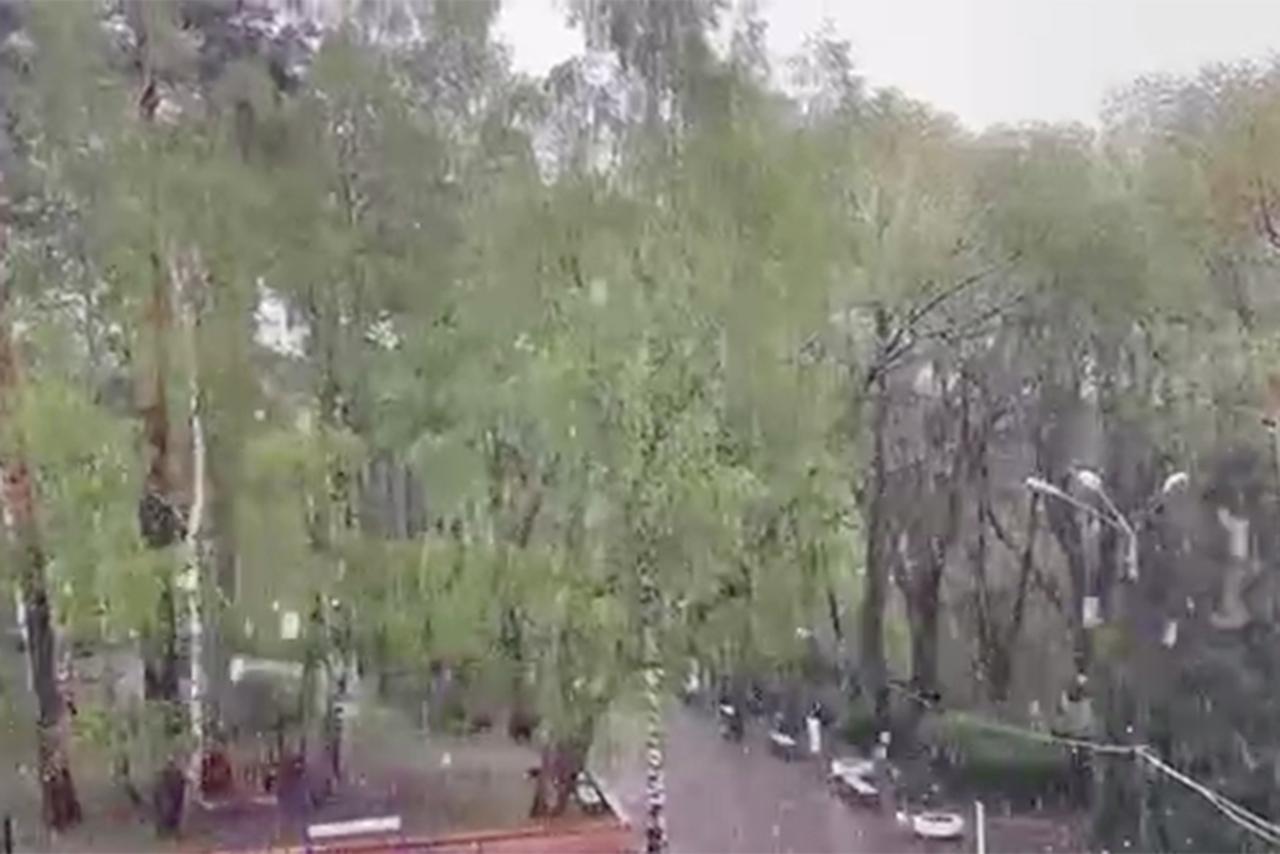 Накрывший Подмосковье снег попал на видео