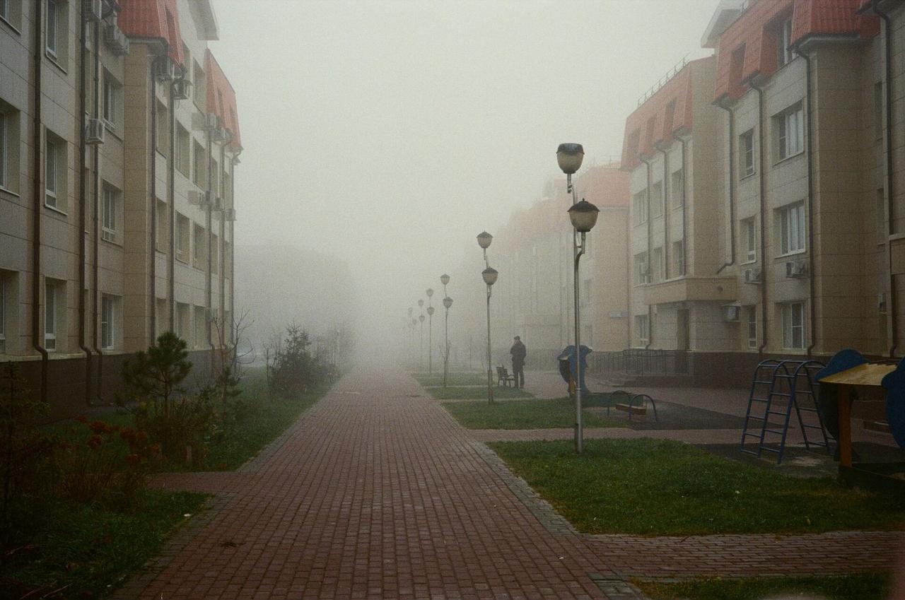 Минувшей ночью заморозки наблюдались по всему Подмосковью