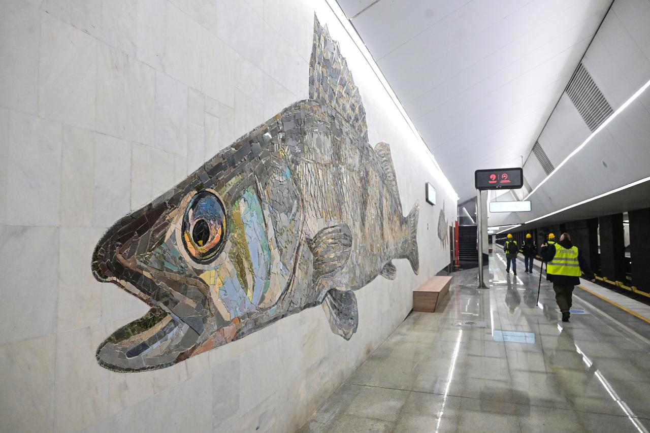 Назван самый мелкий представитель подводной фауны на станции «Нагатинский затон»