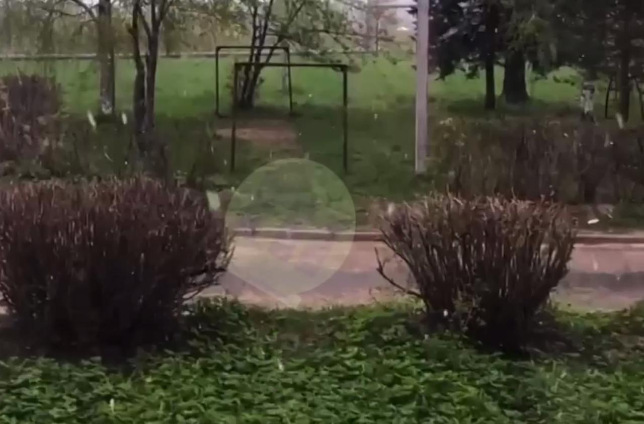 Майский снегопад в Подмосковье попал на видео