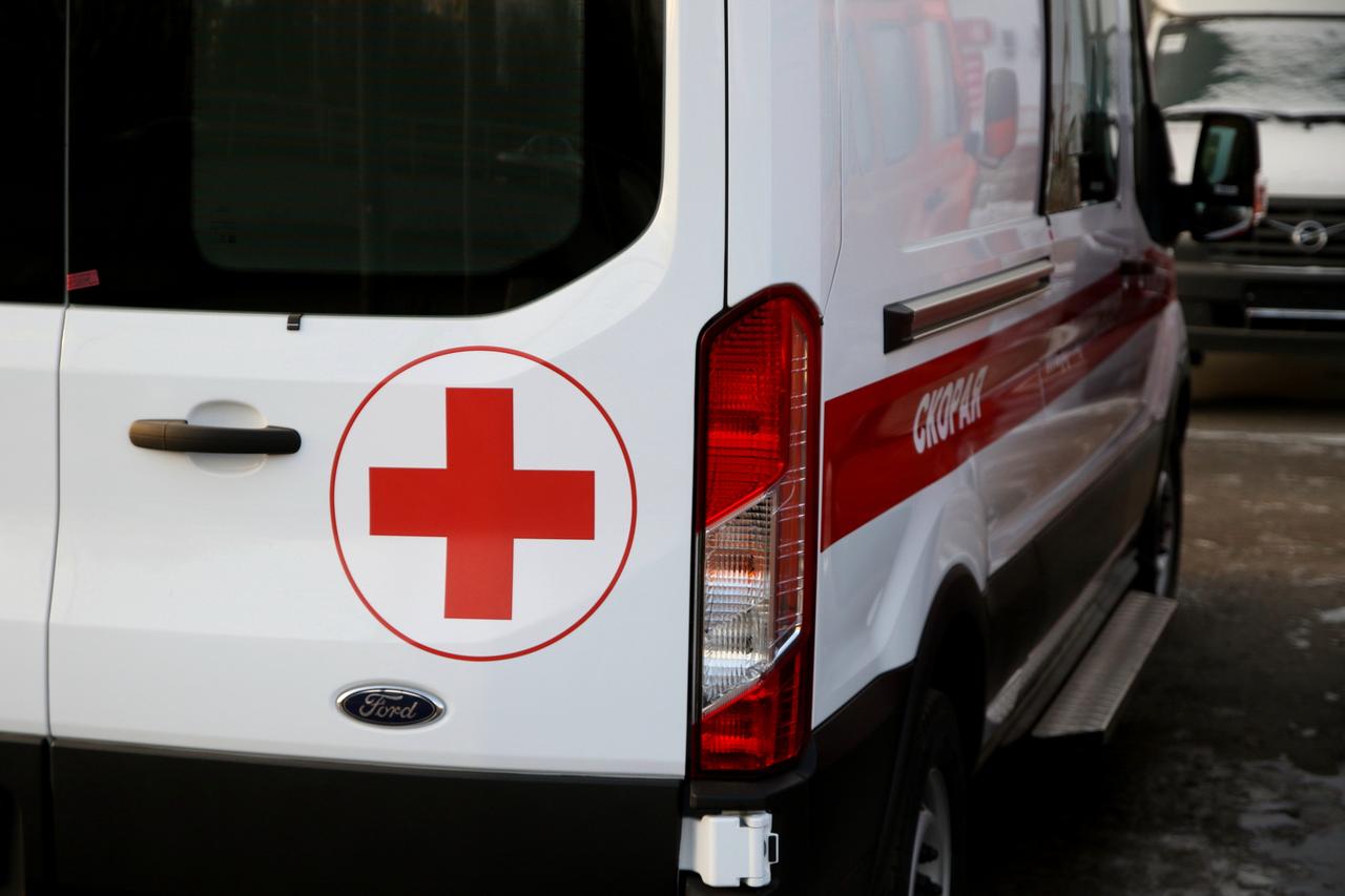 Пони сломал кости ребенку в Новой Москве