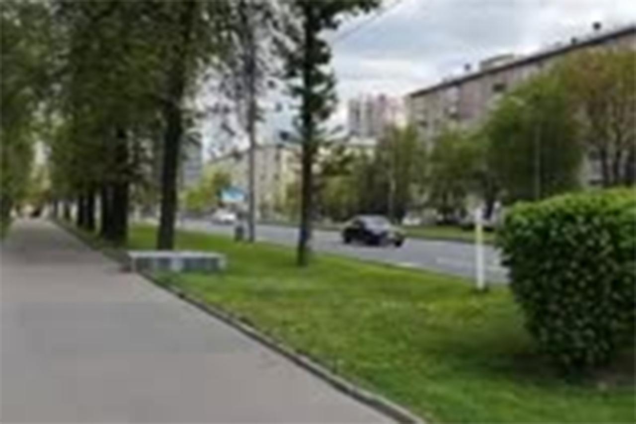 Перекрытие дорог для официальных делегаций в Москве попало на видео