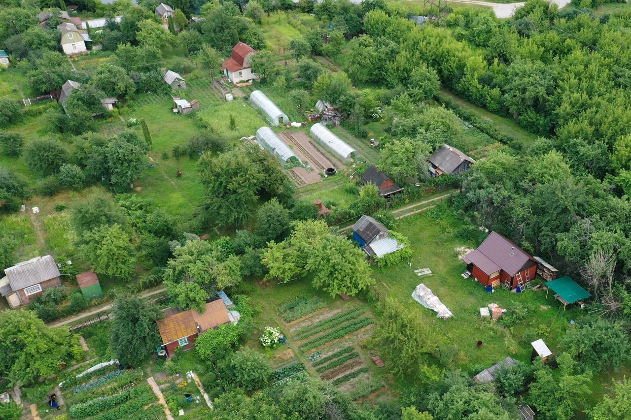 Россиян предупредили о смертельно опасной болезни дачников