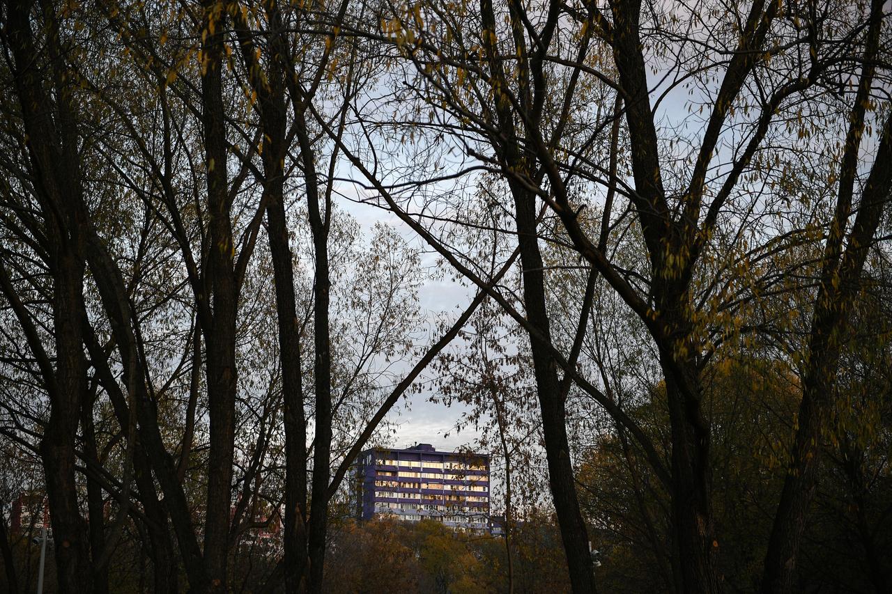 Нашествие насекомых в Москве попало на видео