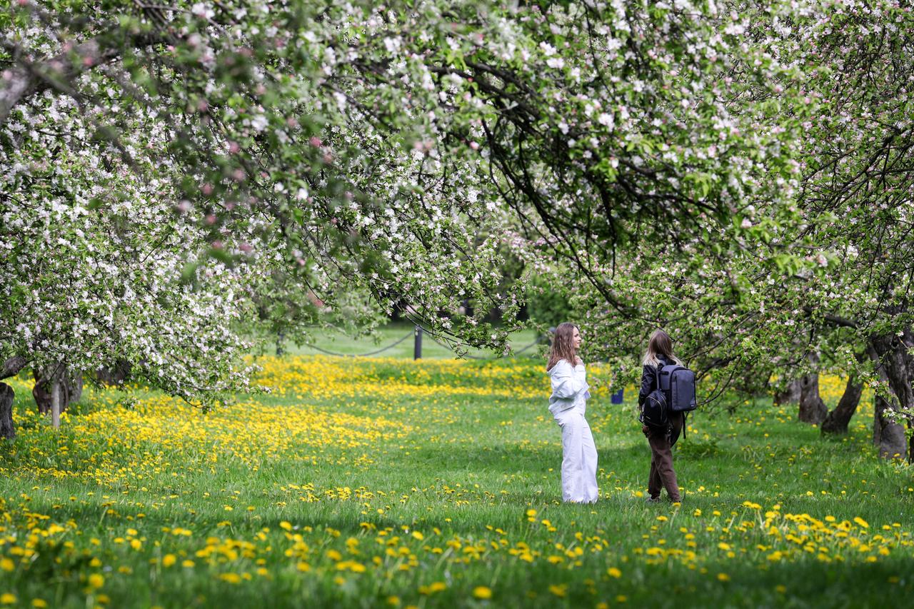Вильфанд спрогнозировал самый жаркий день наступившей недели в Москве