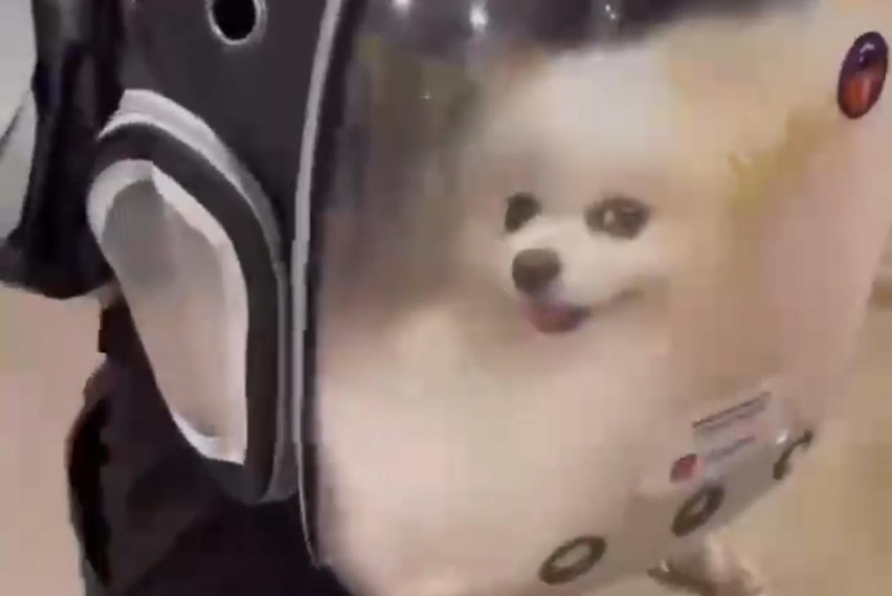 Безбилетного пассажира столичного метро заметили в рюкзаке москвича