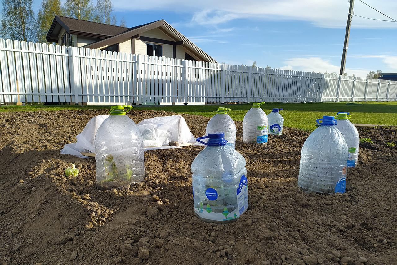 Перечислены регионы страны с максимально выросшими ценами на покупку дачи