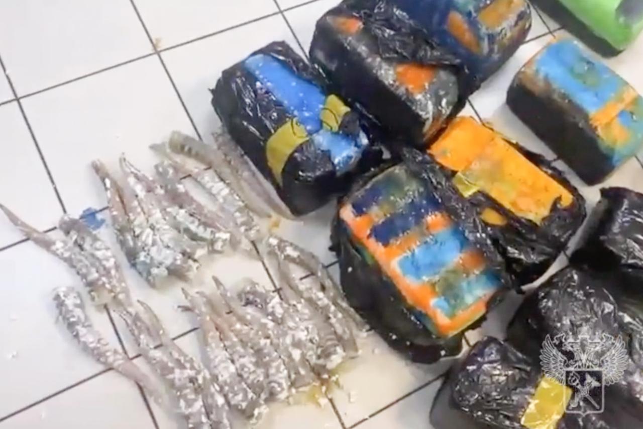 Вьетнамец пытался вывезти из России две сотни рогов краснокнижного сайгака