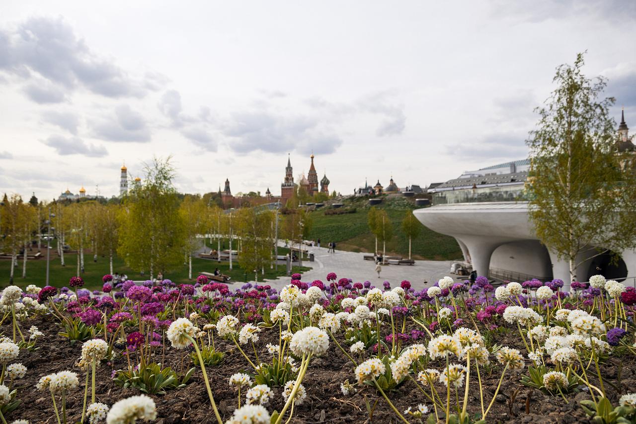 Стало известно о возможности встретить диких животных в центре Москвы