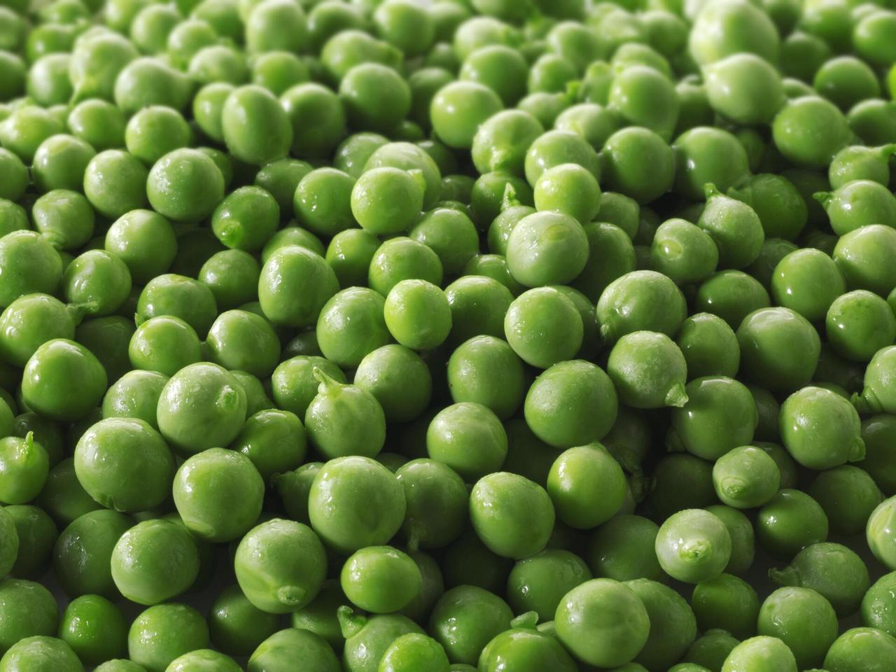 Доктор Павлова назвала полезные для мозга продукты