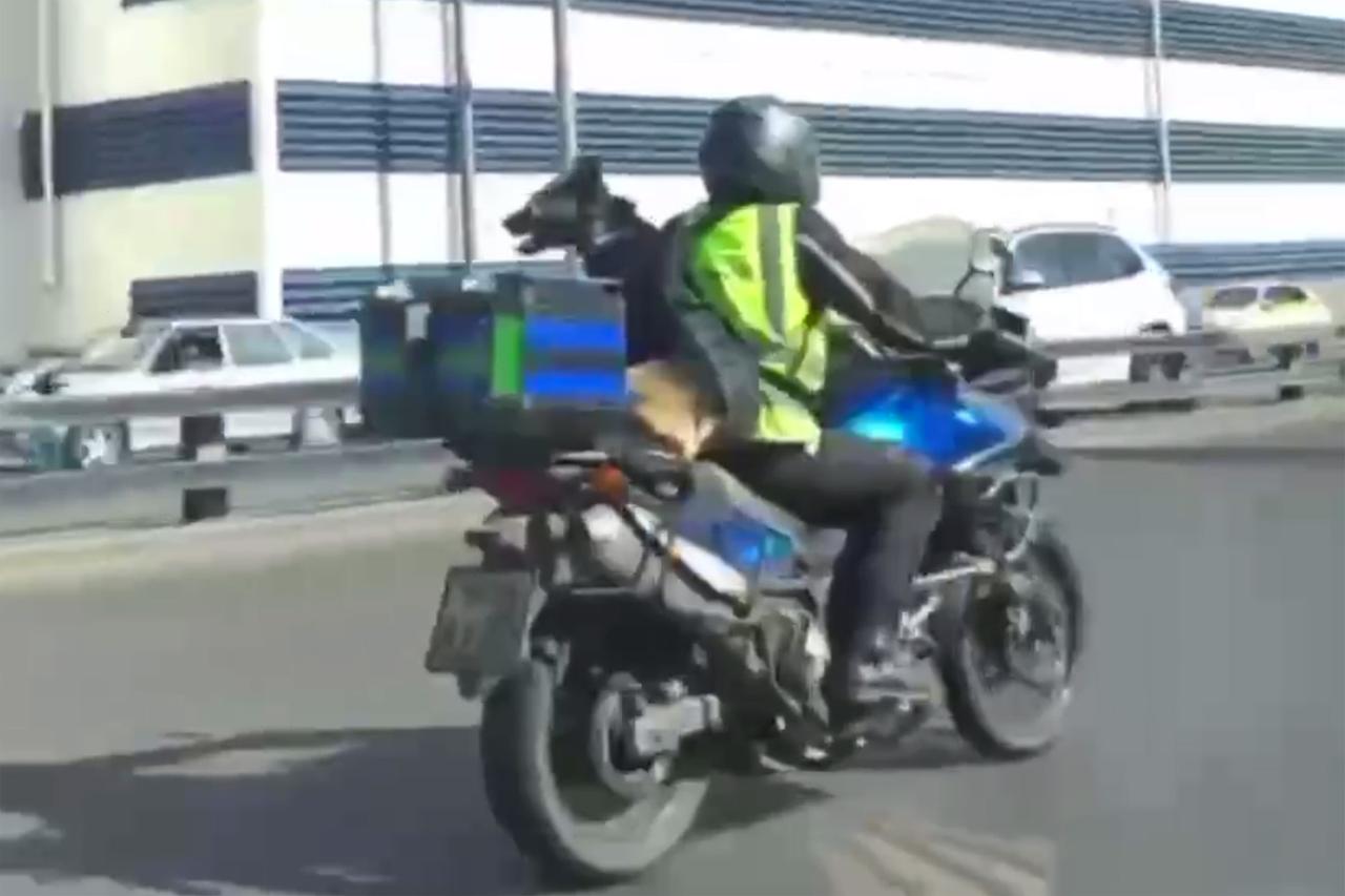 Собаку в шлеме прокатили на мотоцикле по улицам Москвы