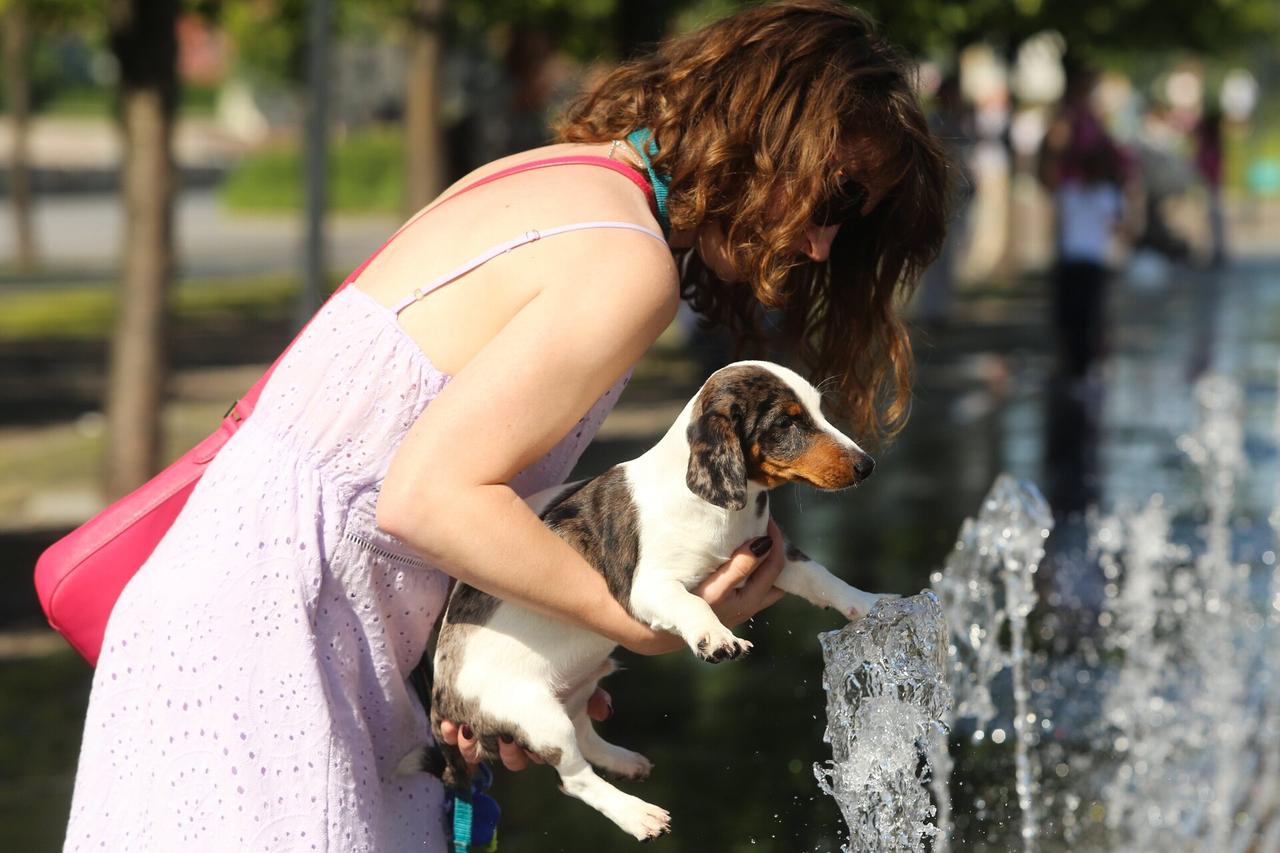 Синоптик назвала основную опасность июньской жары в Москве