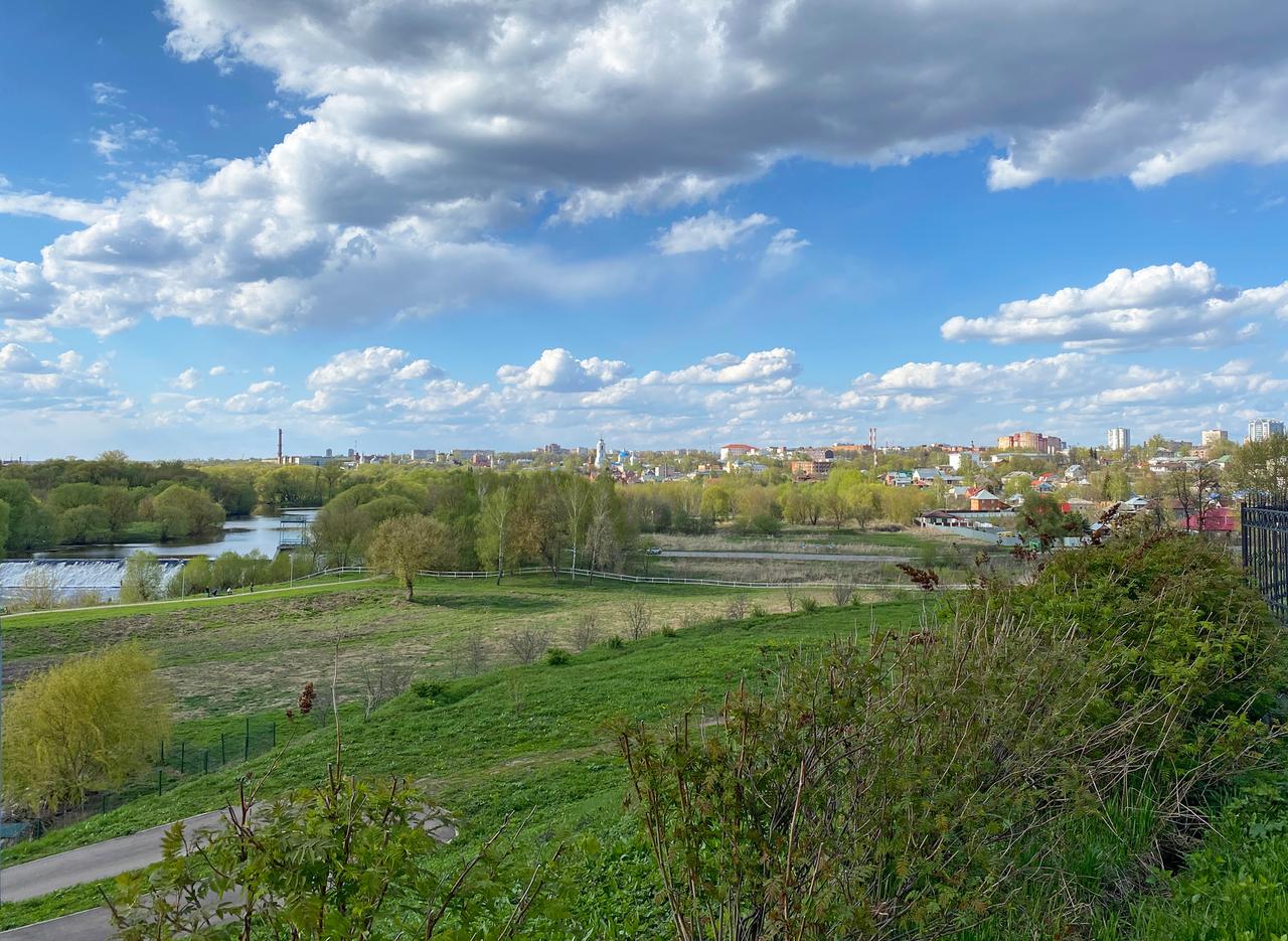 В Подмосковье задумали организовать «американскую деревню»