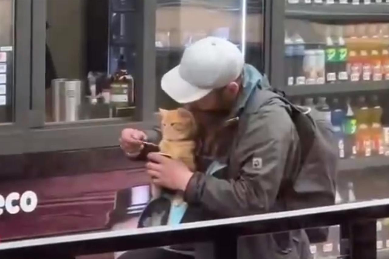 Предложивший кофе коту мужчина растрогал пользователей сети