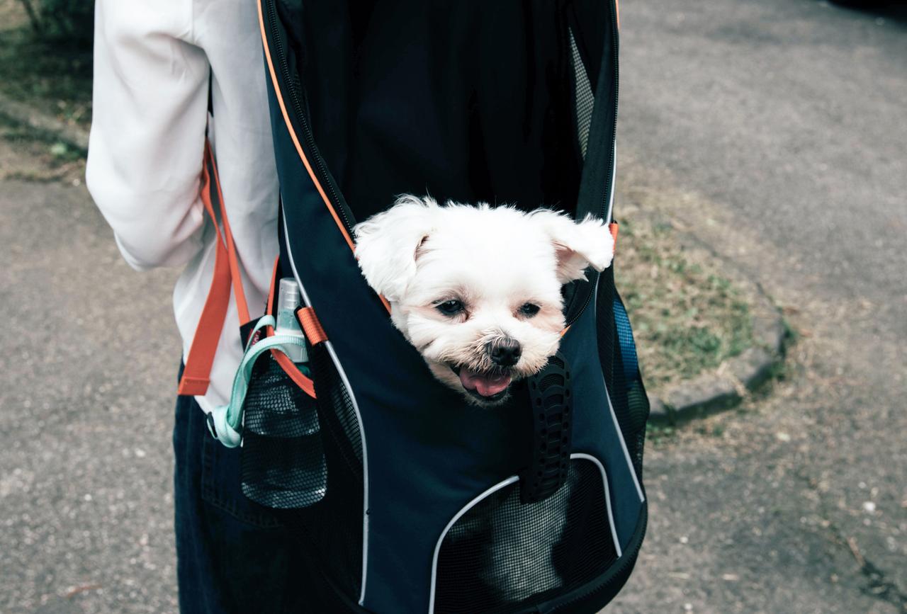 Архивное фото.