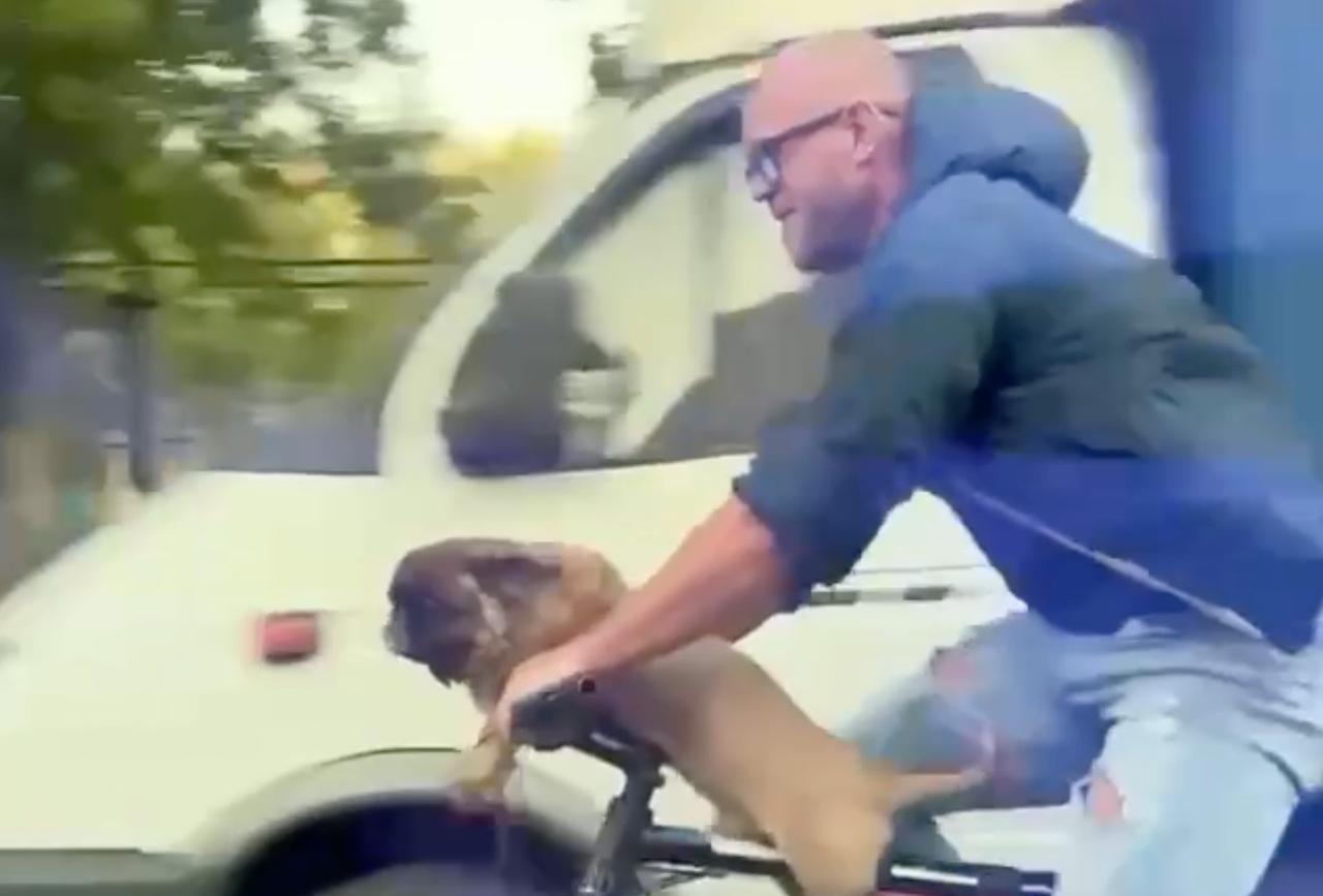 Собака за рулем велосипеда попала на видео в Москве