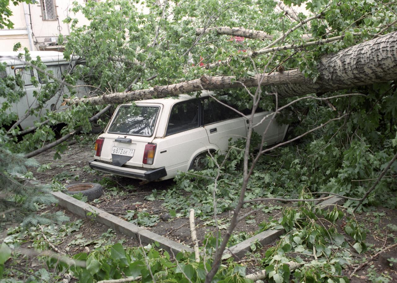 Москвичи вспомнили ураган 25-летней давности