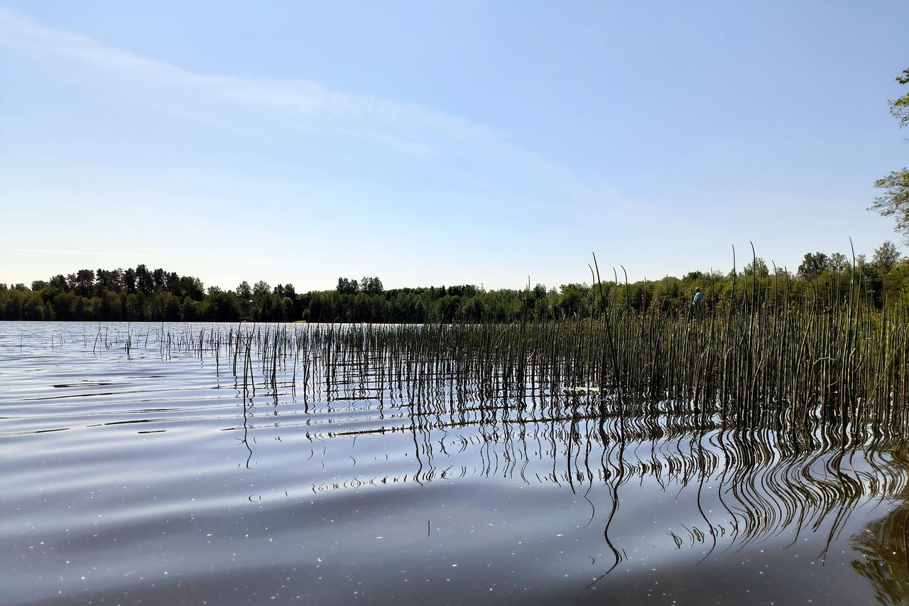 Названо число погибших в подмосковных водоемах с начала лета детей