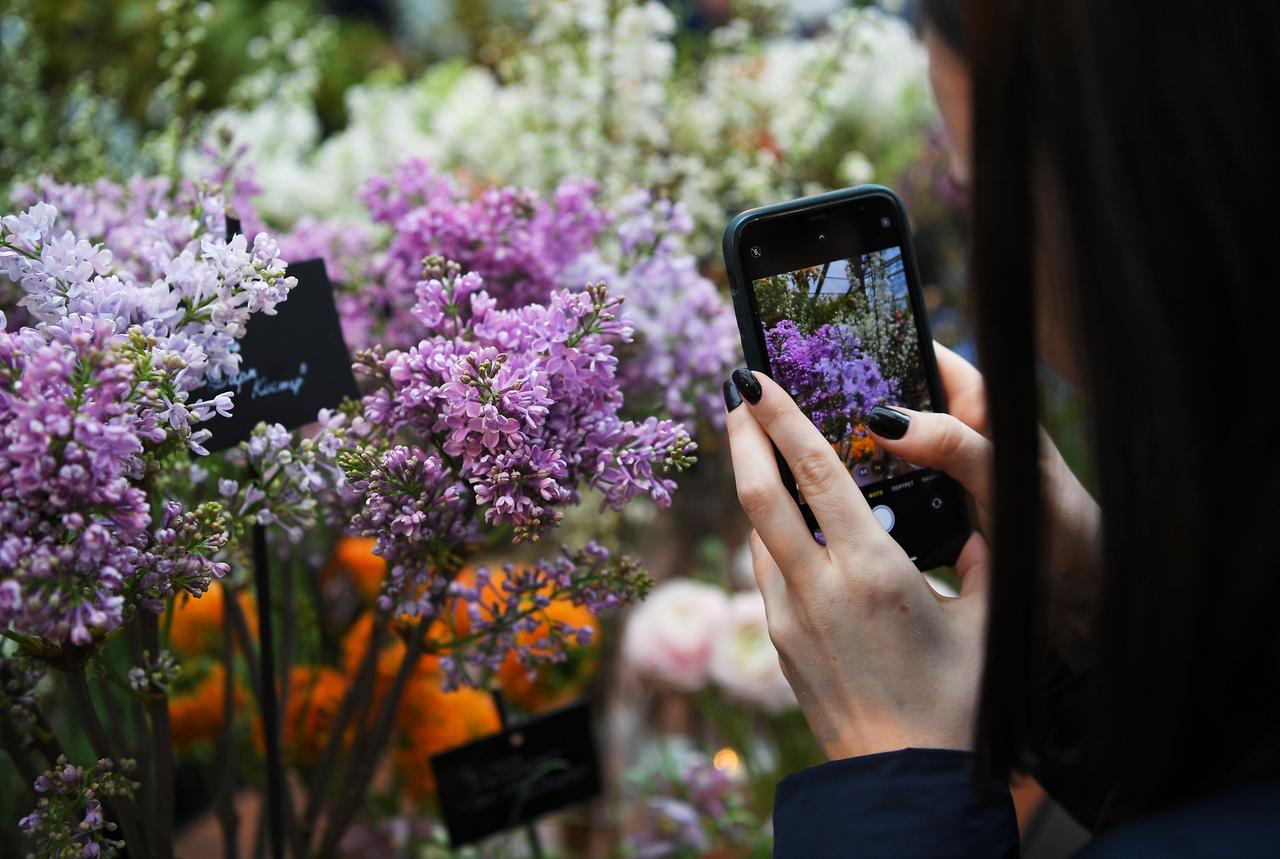 Раскрыта причина невозможности высаживать новые растения в Аптекарском огороде