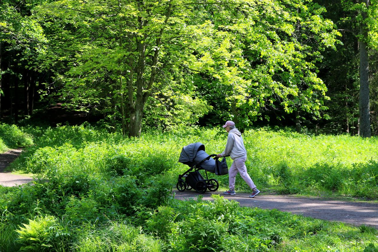 Названа новая сумма материнского капитала