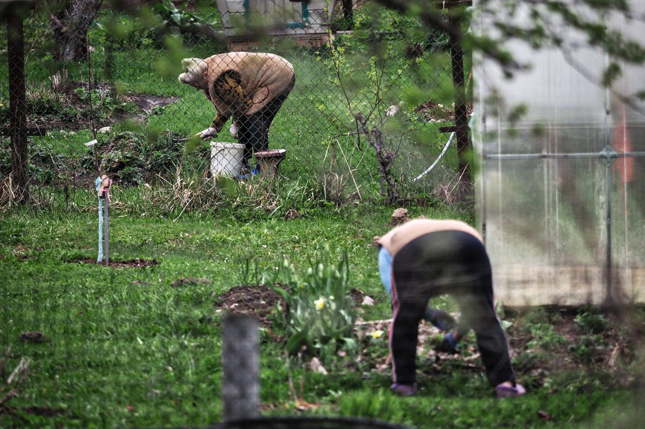 Дачникам дали советы по борьбе с вредителями на участке